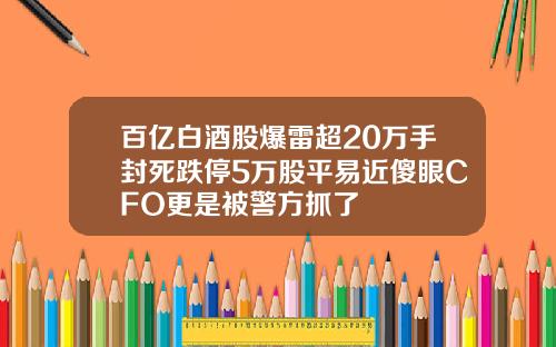 百亿白酒股爆雷超20万手封死跌停5万股平易近傻眼CFO更是被警方抓了