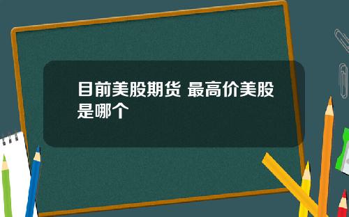 目前美股期货 最高价美股是哪个