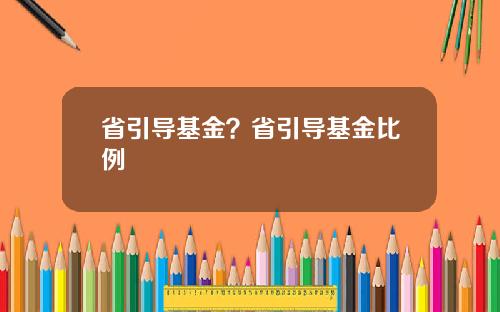 省引导基金？省引导基金比例