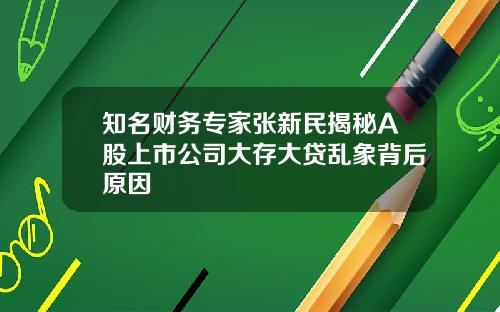知名财务专家张新民揭秘A股上市公司大存大贷乱象背后原因