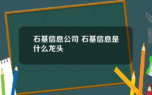 石基信息公司 石基信息是什么龙头