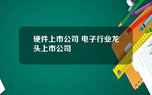 硬件上市公司 电子行业龙头上市公司