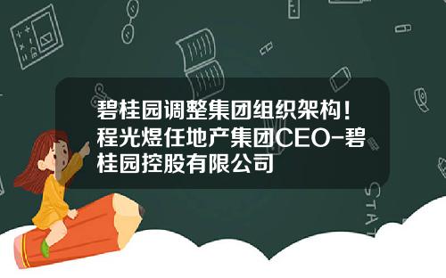 碧桂园调整集团组织架构！程光煜任地产集团CEO-碧桂园控股有限公司
