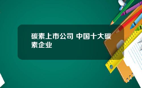 碳素上市公司 中国十大碳素企业