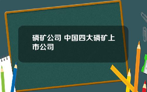 磷矿公司 中国四大磷矿上市公司