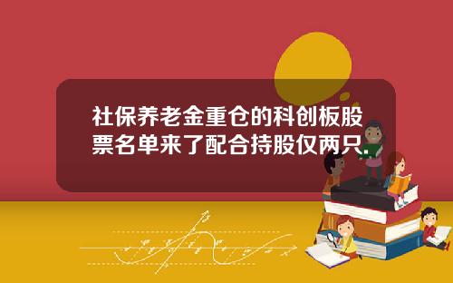 社保养老金重仓的科创板股票名单来了配合持股仅两只.