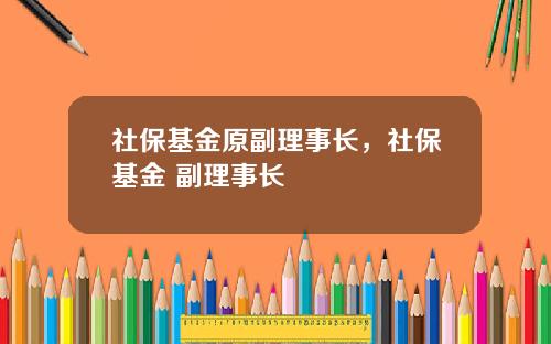 社保基金原副理事长，社保基金 副理事长