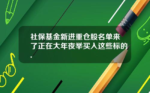 社保基金新进重仓股名单来了正在大年夜举买入这些标的.