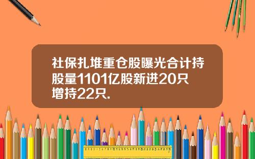 社保扎堆重仓股曝光合计持股量1101亿股新进20只增持22只.