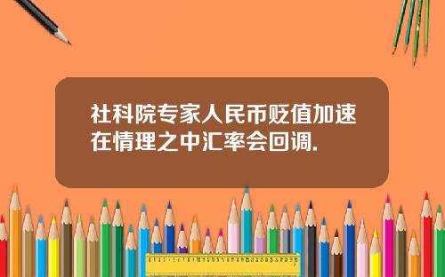 社科院专家人民币贬值加速在情理之中汇率会回调.