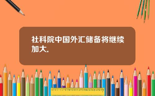 社科院中国外汇储备将继续加大.