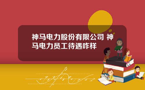 神马电力股份有限公司 神马电力员工待遇咋样