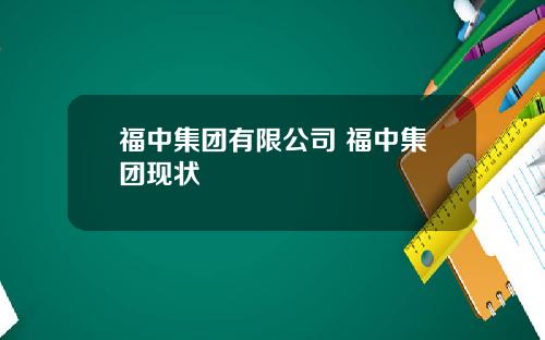 福中集团有限公司 福中集团现状