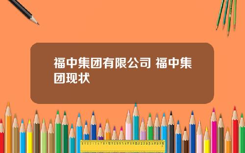 福中集团有限公司 福中集团现状