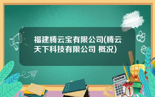 福建腾云宝有限公司(腾云天下科技有限公司 概况)