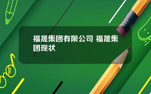 福晟集团有限公司 福晟集团现状