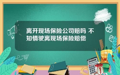 离开现场保险公司赔吗 不知情驶离现场保险赔偿