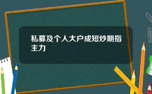 私募及个人大户成短炒期指主力