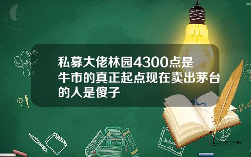 私募大佬林园4300点是牛市的真正起点现在卖出茅台的人是傻子