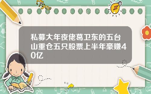 私募大年夜佬葛卫东的五台山重仓五只股票上半年豪赚40亿