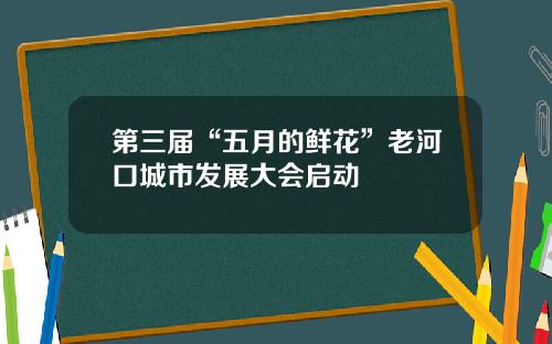 第三届“五月的鲜花”老河口城市发展大会启动