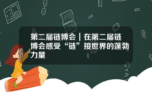 第二届链博会｜在第二届链博会感受“链”接世界的蓬勃力量