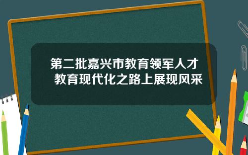第二批嘉兴市教育领军人才 教育现代化之路上展现风采