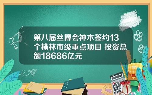 第八届丝博会神木签约13个榆林市级重点项目 投资总额18686亿元