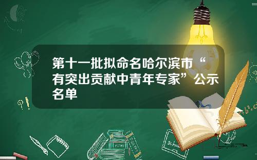 第十一批拟命名哈尔滨市“有突出贡献中青年专家”公示名单