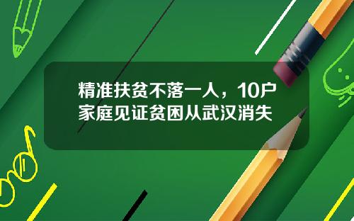精准扶贫不落一人，10户家庭见证贫困从武汉消失