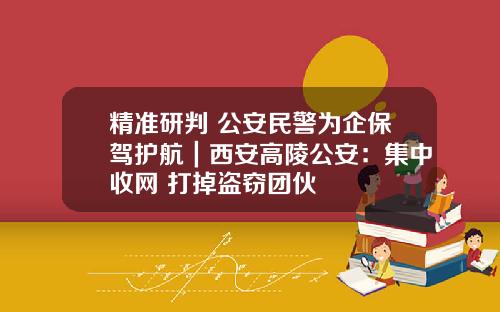 精准研判 公安民警为企保驾护航｜西安高陵公安：集中收网 打掉盗窃团伙