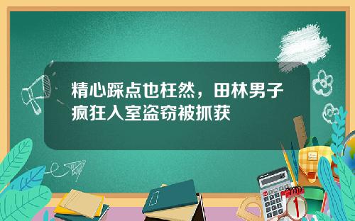 精心踩点也枉然，田林男子疯狂入室盗窃被抓获