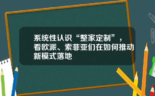 系统性认识“整家定制”，看欧派、索菲亚们在如何推动新模式落地