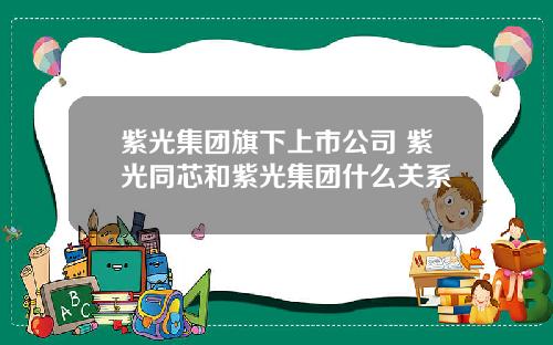 紫光集团旗下上市公司 紫光同芯和紫光集团什么关系