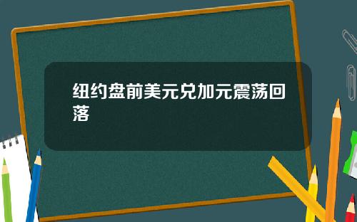 纽约盘前美元兑加元震荡回落