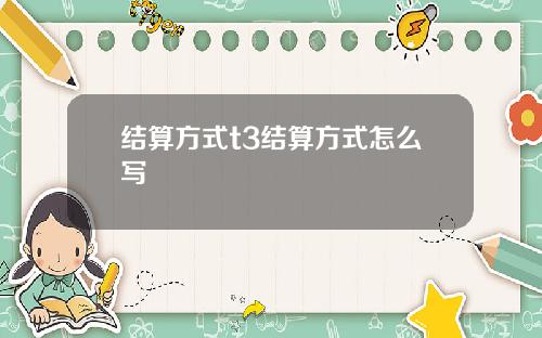 结算方式t3结算方式怎么写
