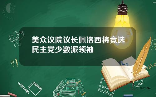 美众议院议长佩洛西将竞选民主党少数派领袖