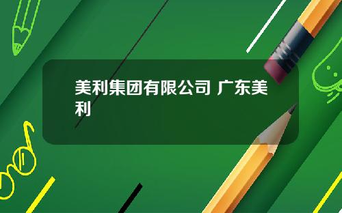 美利集团有限公司 广东美利