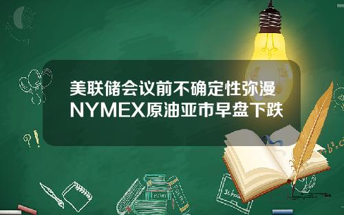 美联储会议前不确定性弥漫NYMEX原油亚市早盘下跌