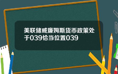 美联储威廉姆斯货币政策处于039恰当位置039
