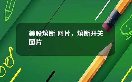 美股熔断 图片，熔断开关图片