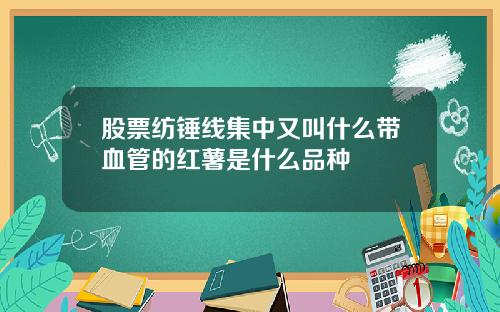 股票纺锤线集中又叫什么带血管的红薯是什么品种