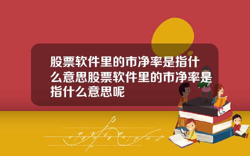 股票软件里的市净率是指什么意思股票软件里的市净率是指什么意思呢