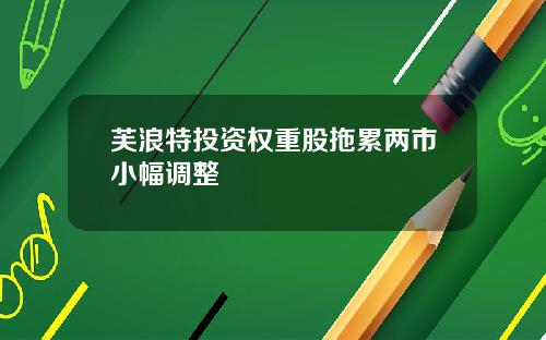 芙浪特投资权重股拖累两市小幅调整