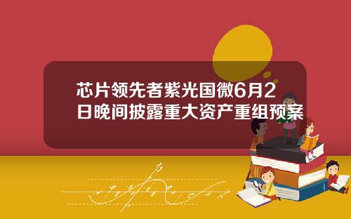 芯片领先者紫光国微6月2日晚间披露重大资产重组预案