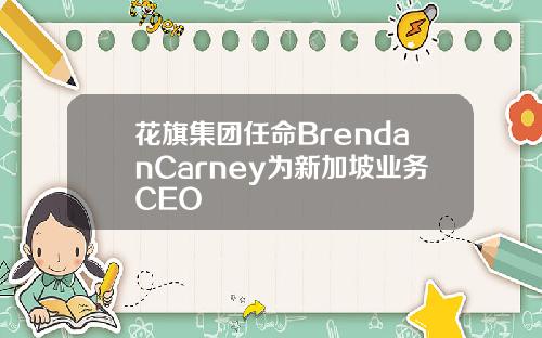 花旗集团任命BrendanCarney为新加坡业务CEO