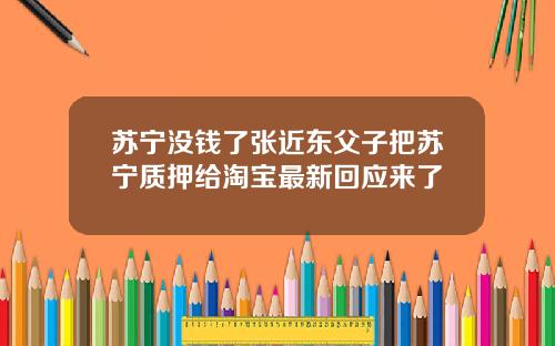 苏宁没钱了张近东父子把苏宁质押给淘宝最新回应来了