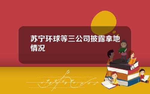 苏宁环球等三公司披露拿地情况