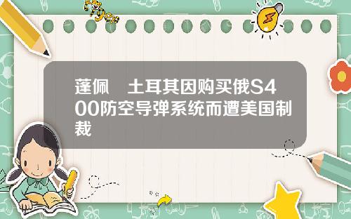 蓬佩奧土耳其因购买俄S400防空导弹系统而遭美国制裁