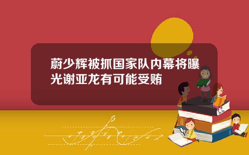 蔚少辉被抓国家队内幕将曝光谢亚龙有可能受贿